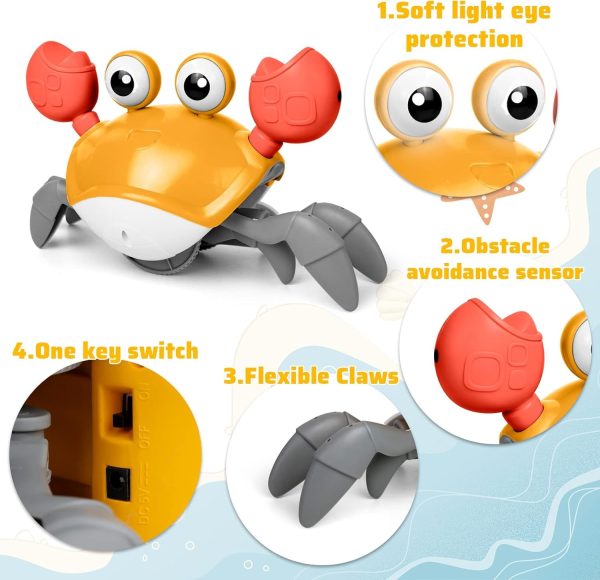 Crawling Crab Baby Toy