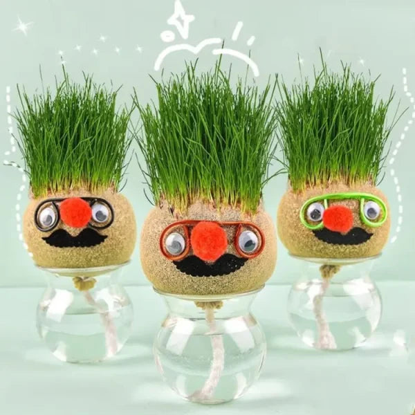 Grass Head | Diy Grass Head Dolls Growing Kit