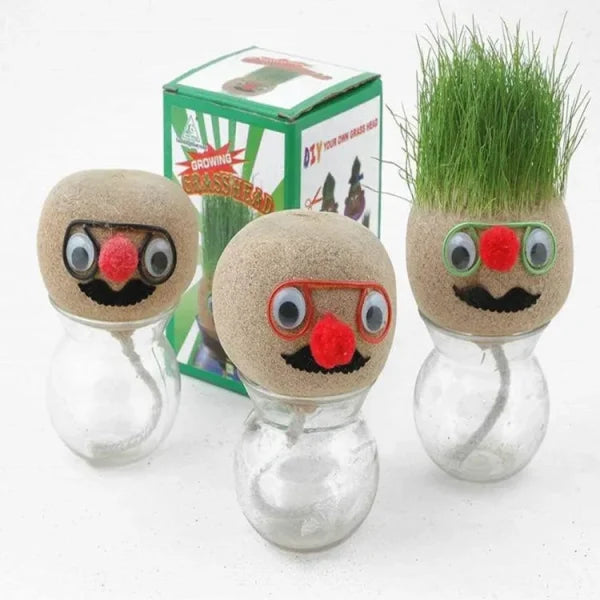 Grass Head | Diy Grass Head Dolls Growing Kit