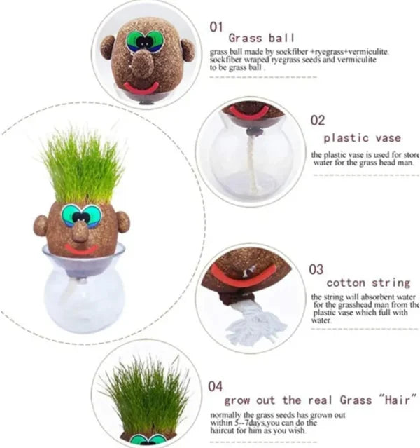 Grass Head | Diy Grass Head Dolls Growing Kit