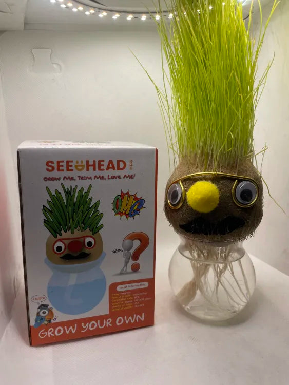 Grass Head | Diy Grass Head Dolls Growing Kit